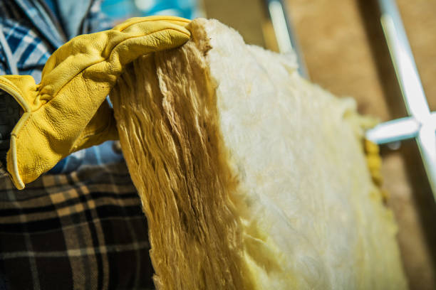 Best Blown-in Insulation  in Edna, TX