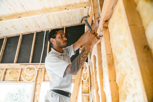 Best Spray Foam Insulation  in Edna, TX
