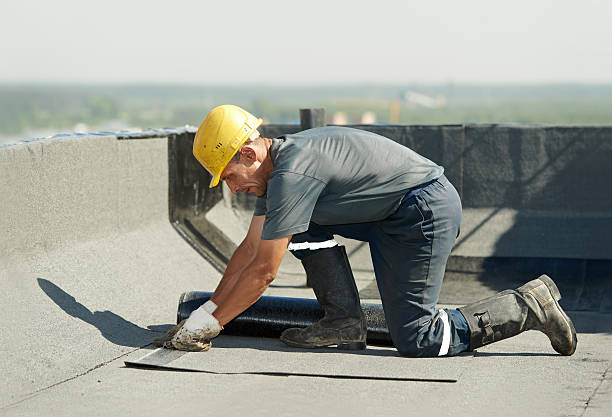 Best Cellulose Insulation  in Edna, TX