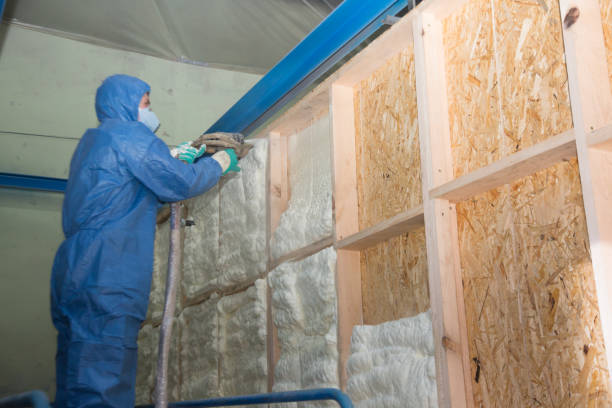Best Professional Insulation Contractor  in Edna, TX