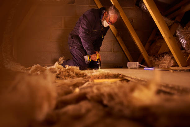 Best Insulation Contractor Near Me  in Edna, TX