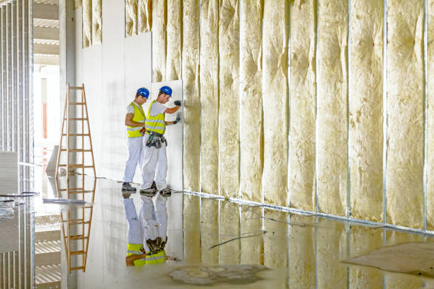 Best Insulation Removal  in Edna, TX